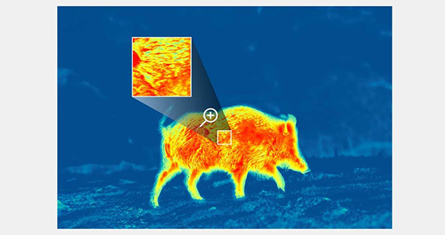 Detailný obraz pri vysokom zväčšení